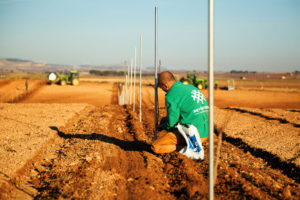 plantacion-gestion-integral