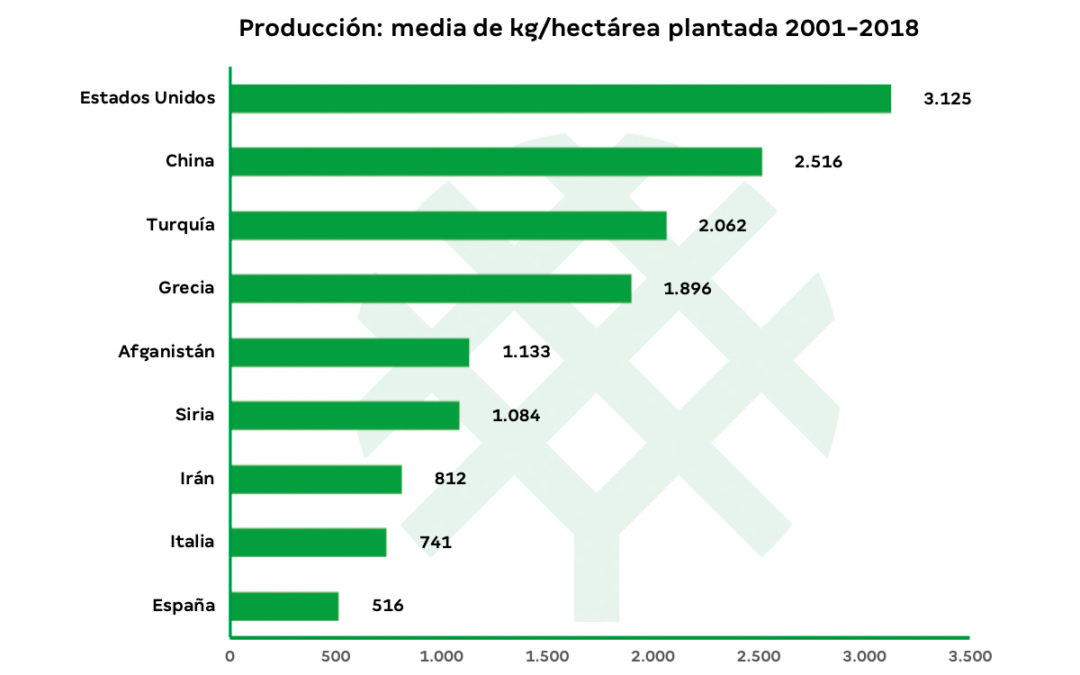 Producción de pistacho por hectárea plantada en el mundo