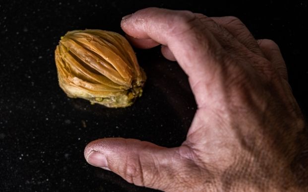 El cultivo del pistacho en España