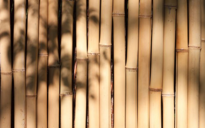 Tutores de bambú
