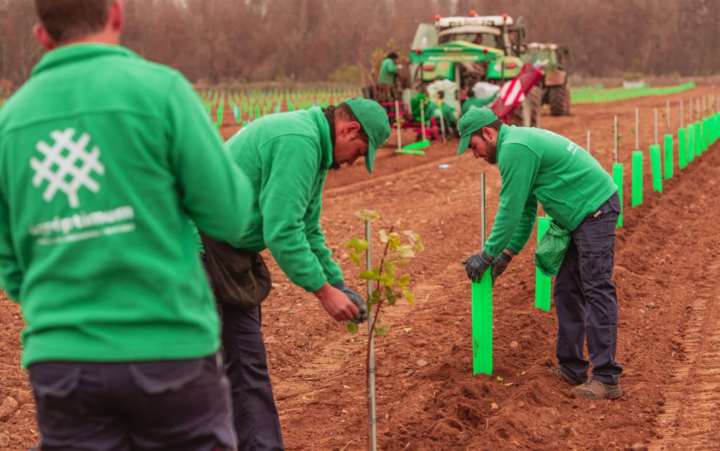 Innovations in control, diagnosis and prevention