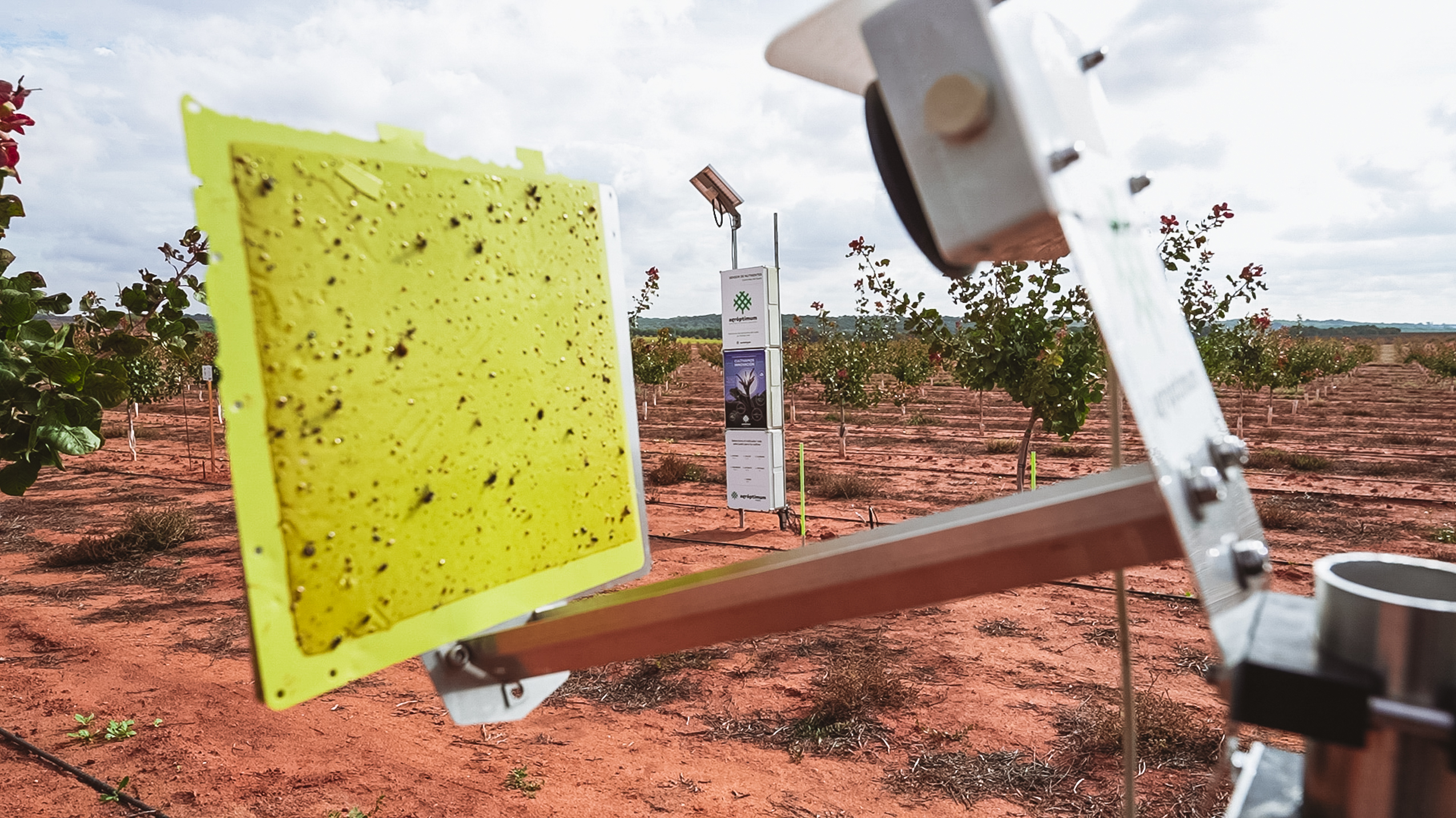 Un sensor de plagas de agróptimum