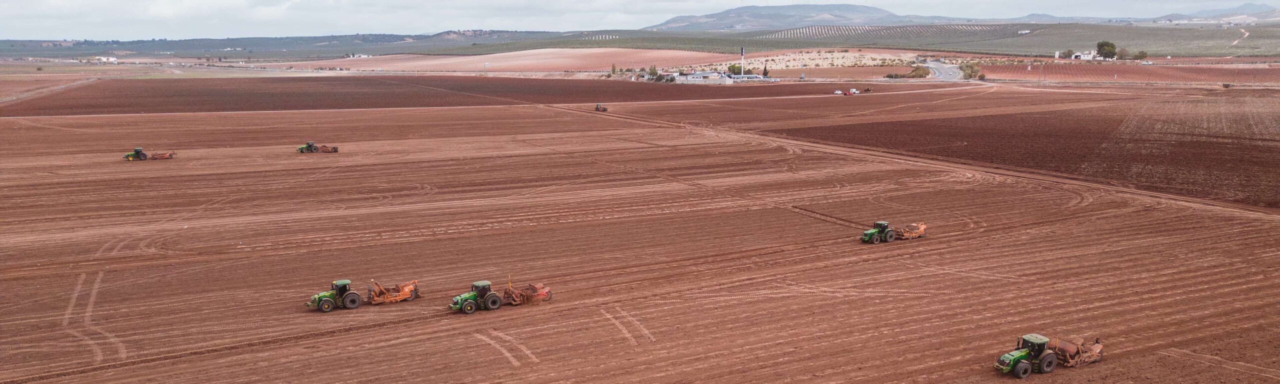 Preparación del terreno de una plantación de pistachos.