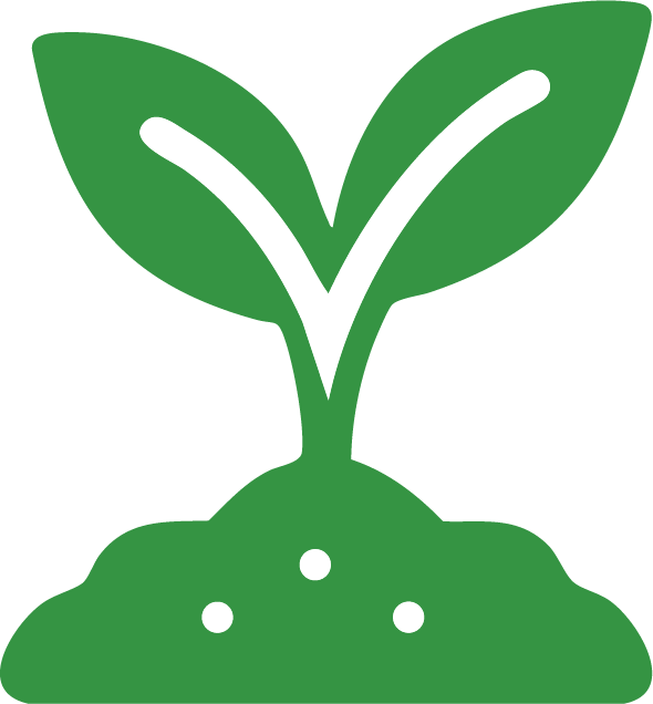 El árbol del pistacho 4 suelo icono