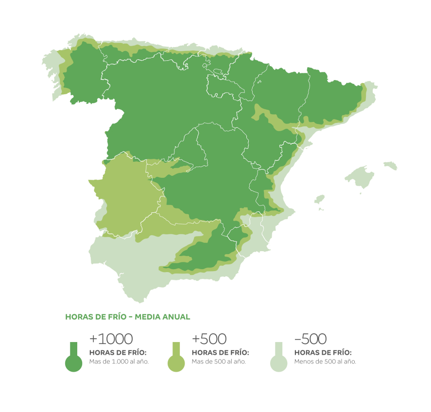 Guía completa del clima para el árbol de pistacho 2 horas frio en españa