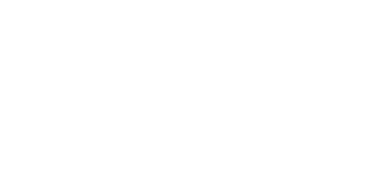 Logo INC