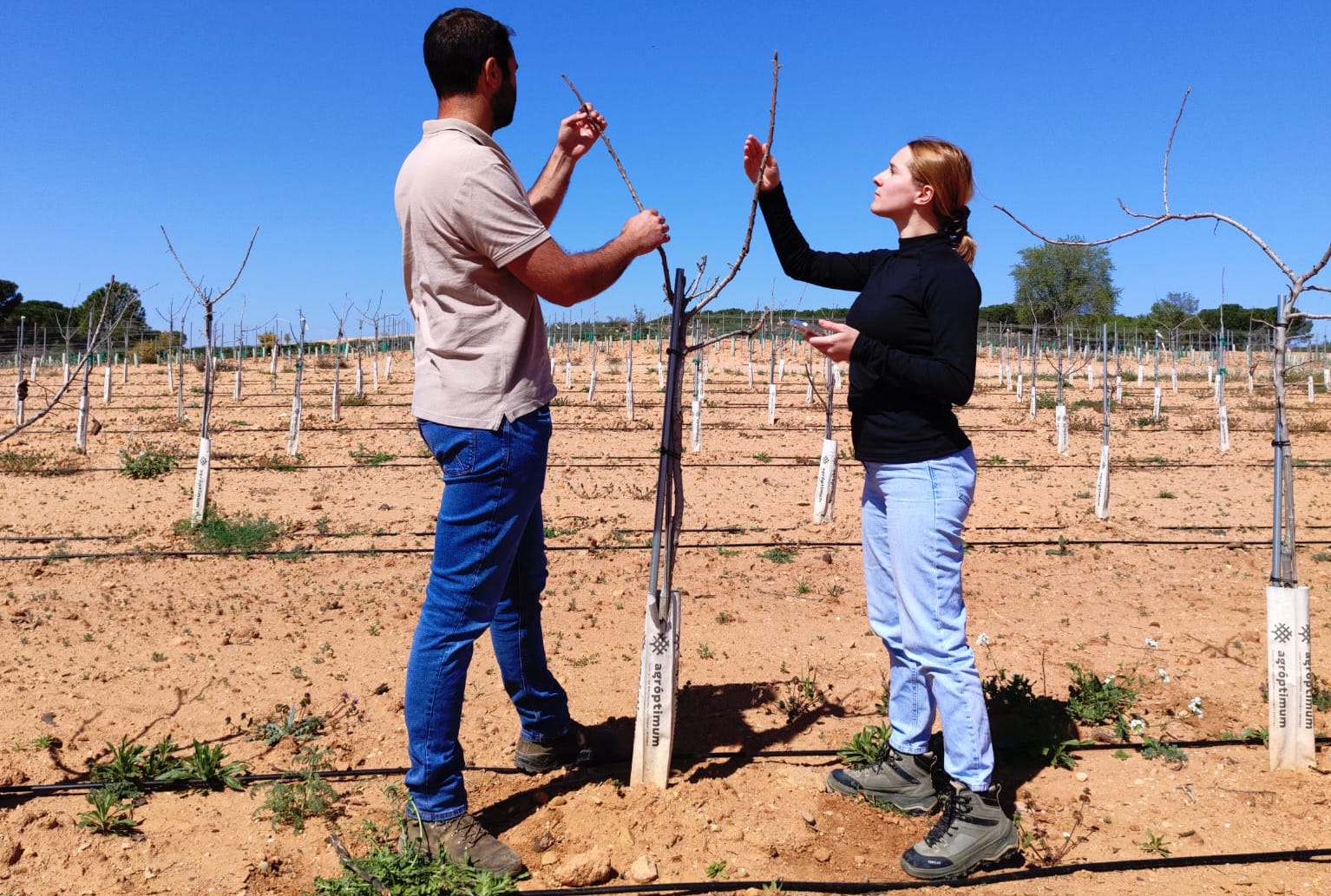 UCO en el proyecto de mejora genética.