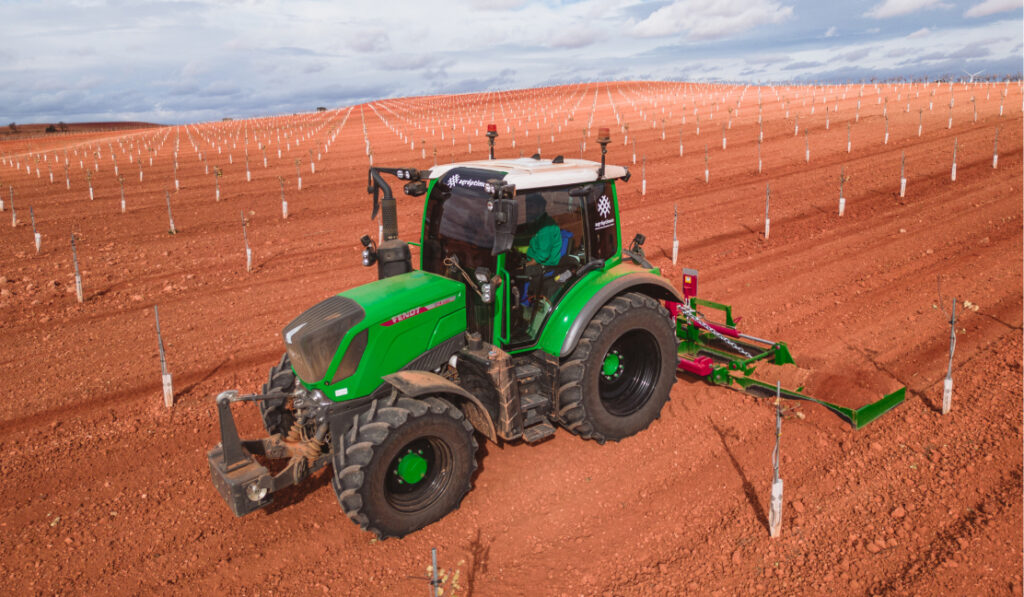 Grants for planting pistachios 73 subsidies for planting pistachios