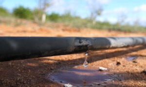 Estudio de la calidad y disponibilidad del agua en la siembra del pistacho