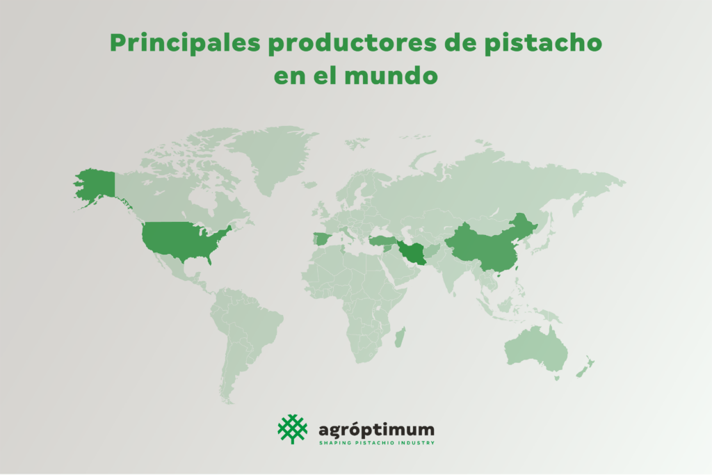 el pistacho en el mundo. pistacho. agróptimum.