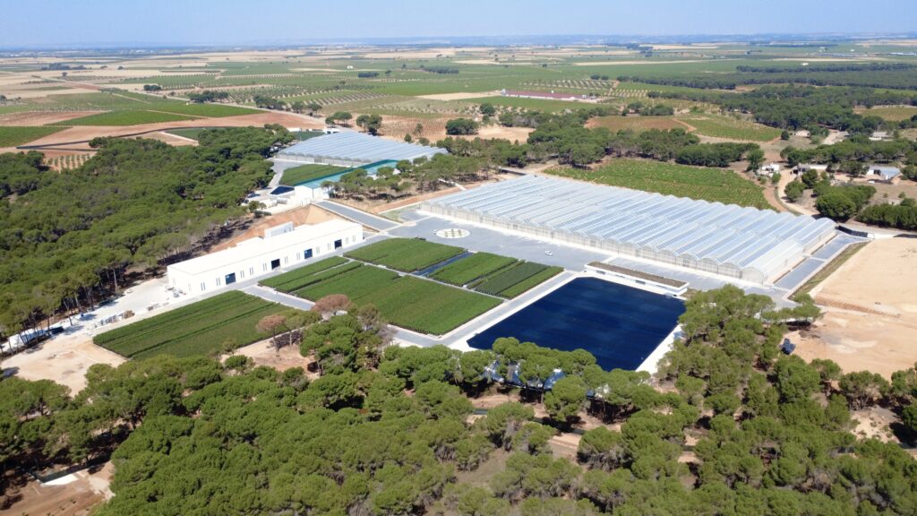 the largest pistachio nursery