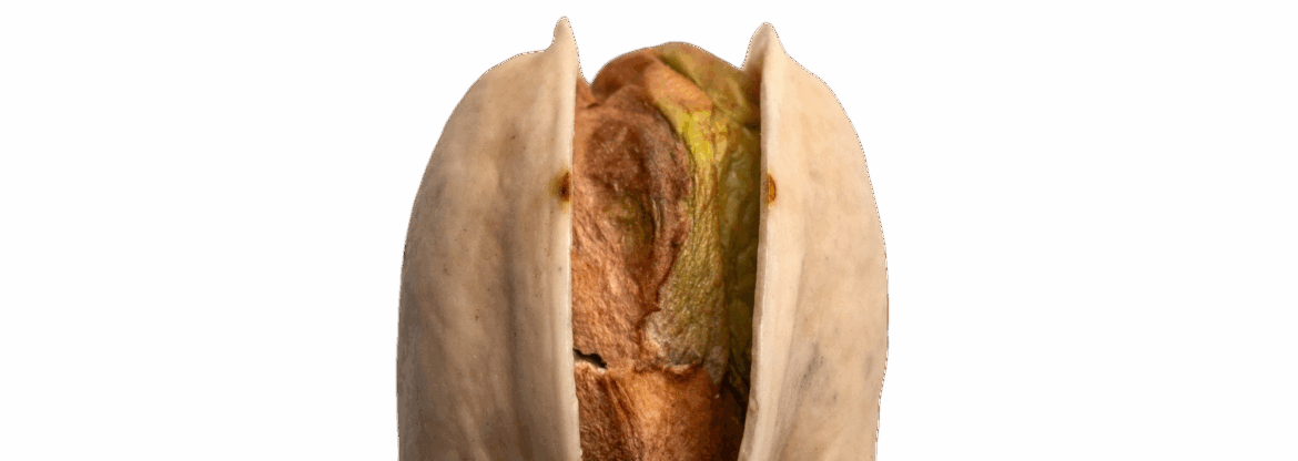 pistachio. lost hills pistachio. pistachio png