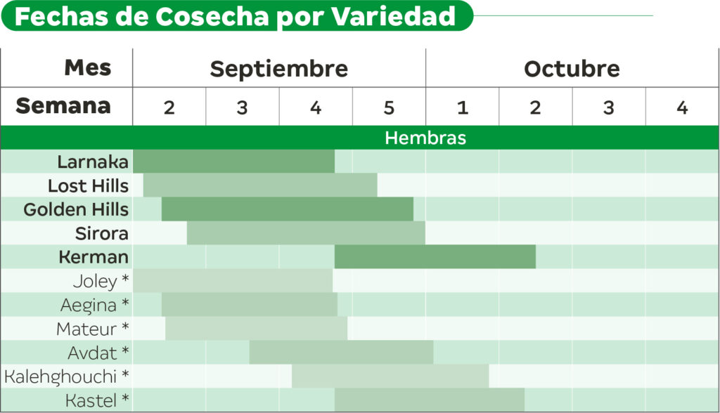 calendario cosecha pistacho