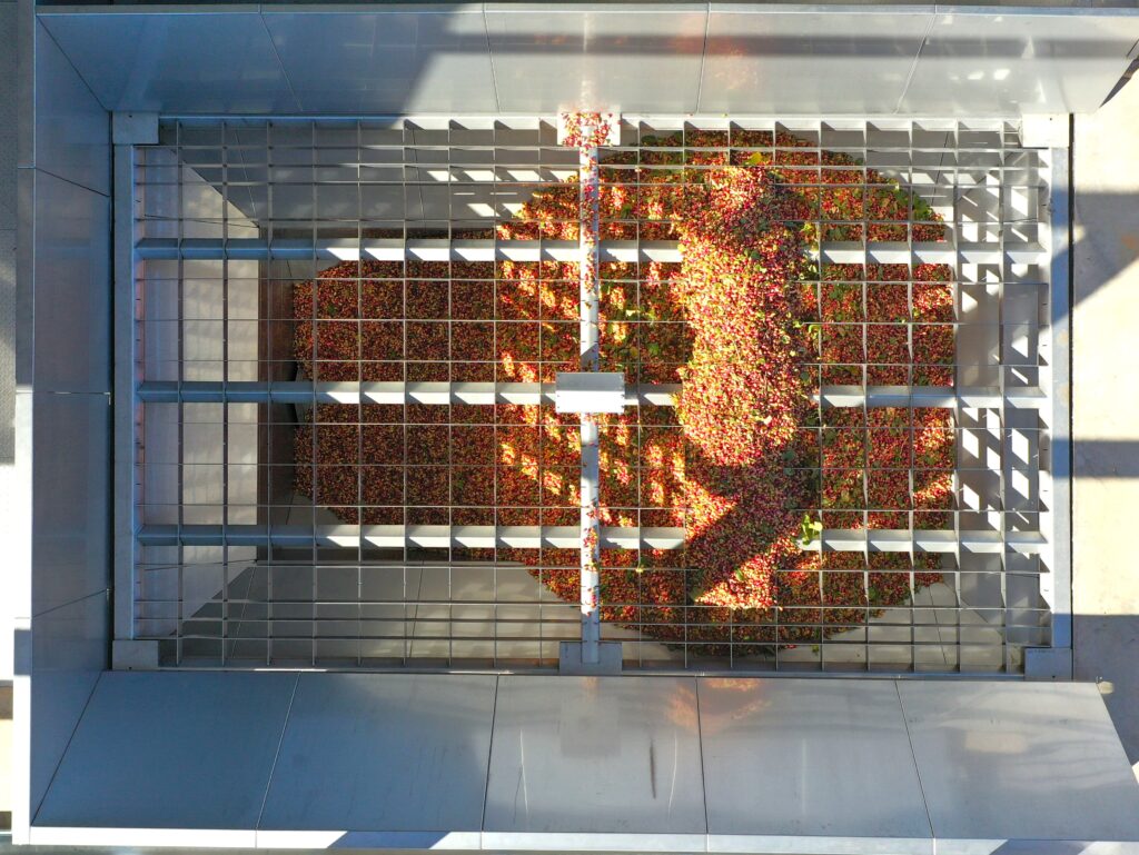 reception and washing of pistachios