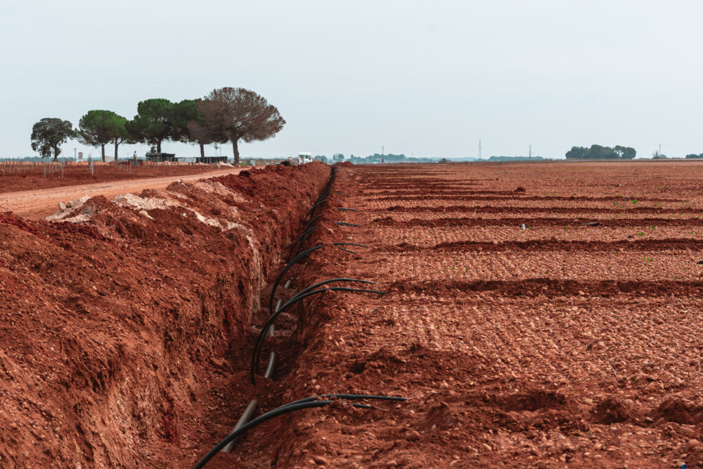 Diseño de riego de una plantación de pistacho