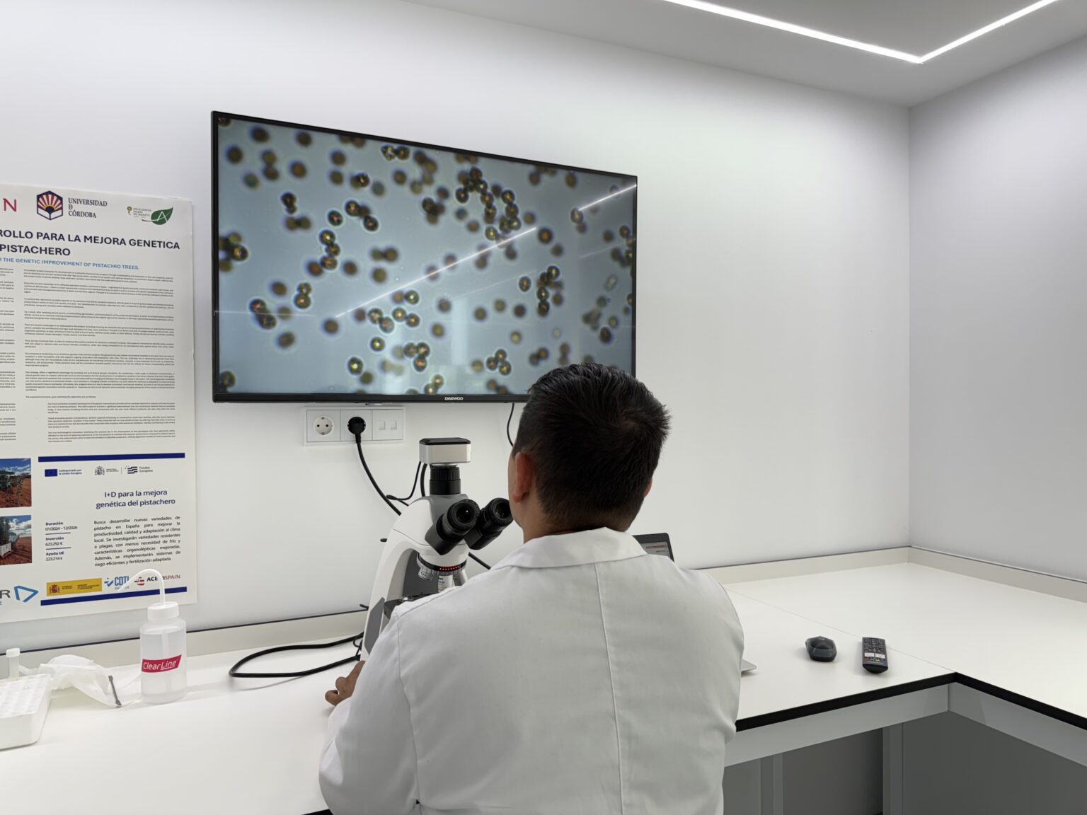 IMG 0184 Polinización artificial