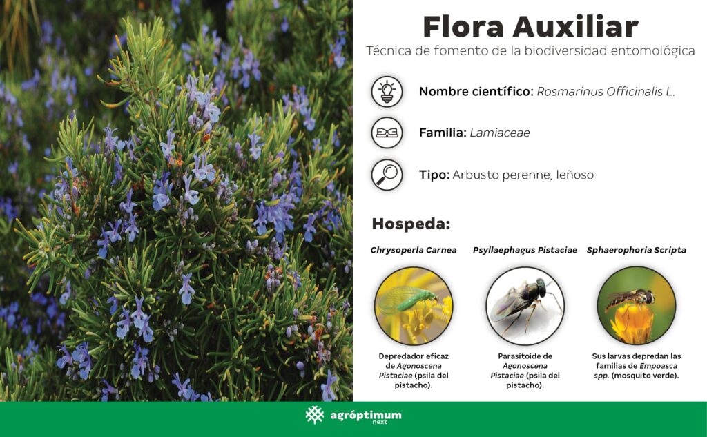 Flora auxiliar. Sostenibilidad. Agróptimum. Agróptimum Next.