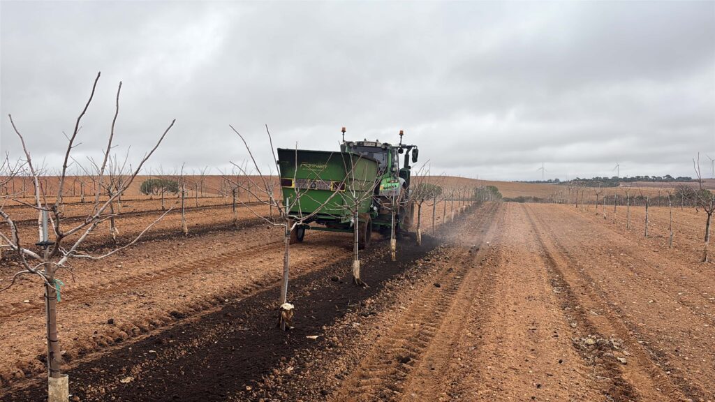 Cultivo de pistacho ecológico. Pistacho ecológico. Cultivo de pistacho. Abono orgánico.