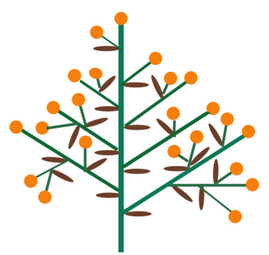 Botánica. Panícula Axial. Estructura de una panícula axial. Panícula.