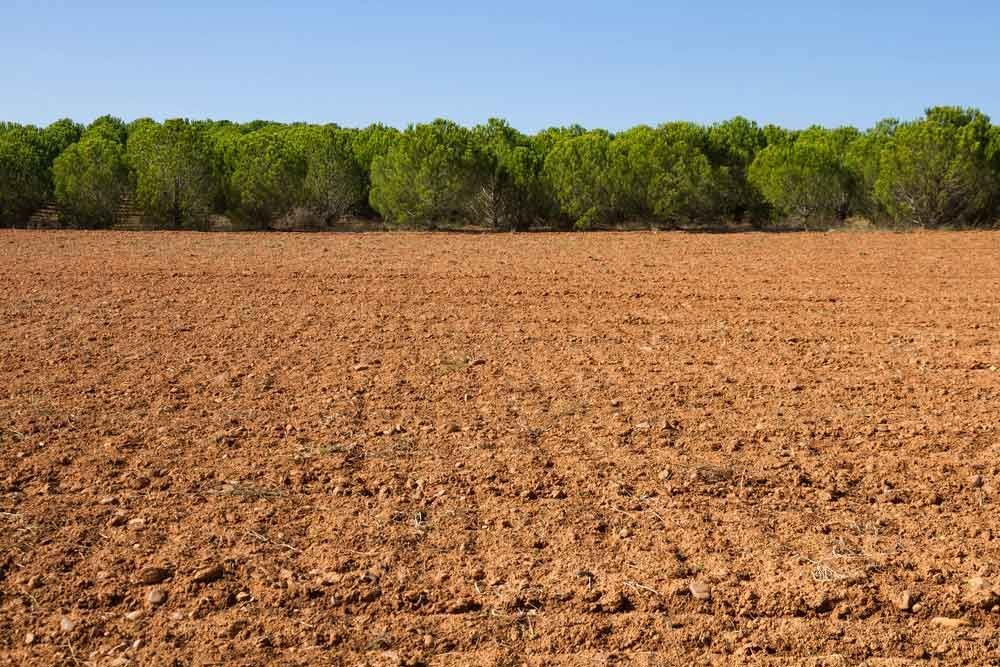Arcilloso. Suelo arcilloso. El suelo en el cultivo del pistacho. Suelo pistacho.