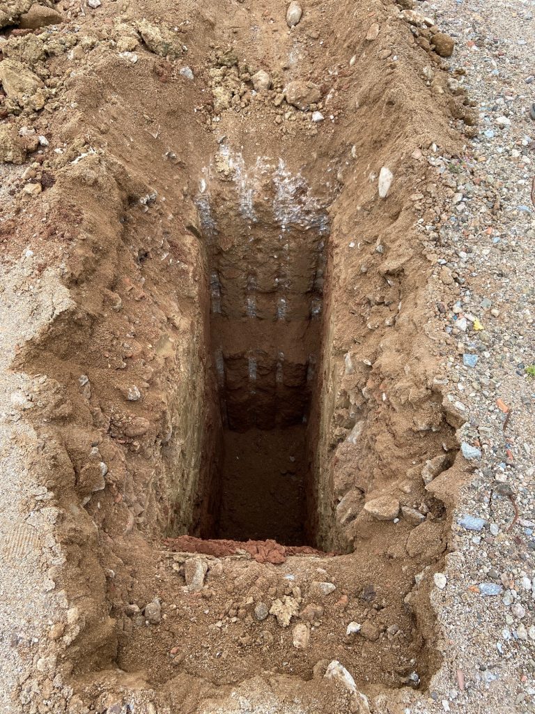 caliicata 768x1024 1 El suelo en el cultivo del pistacho