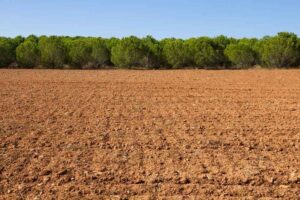 Clayey. Clay soil. The soil in pistachio cultivation. Pistachio soil.