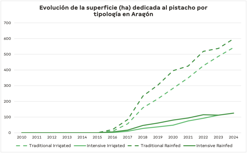 El pistacho español. Castilla-La Mancha. Pistacho Aragón.