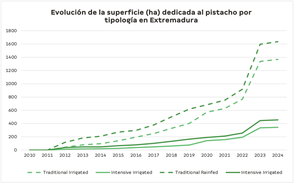 El pistacho español. Castilla-La Mancha. Pistacho Extremadura.