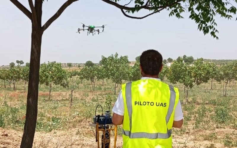 Polinización artificial. Polinización con dron. Agróptimum Next.